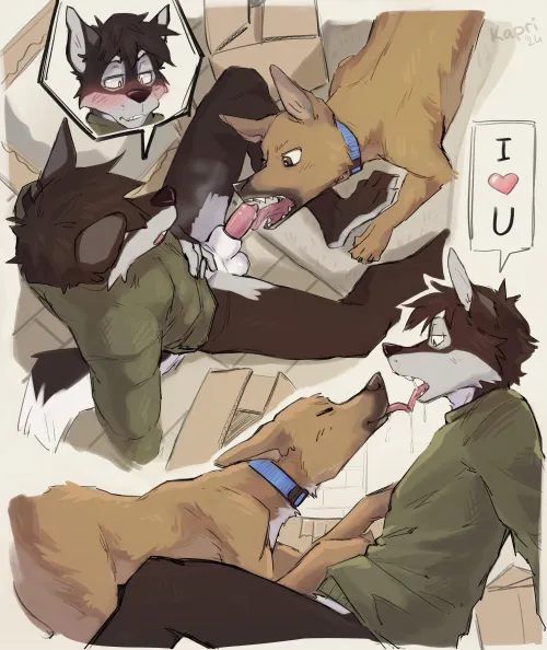 No better bf to have (kapri)