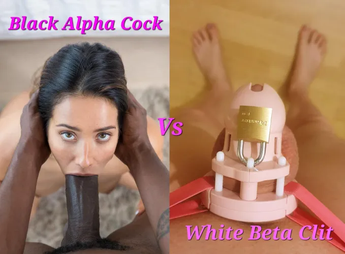 A View You Wont Ever See Sissy