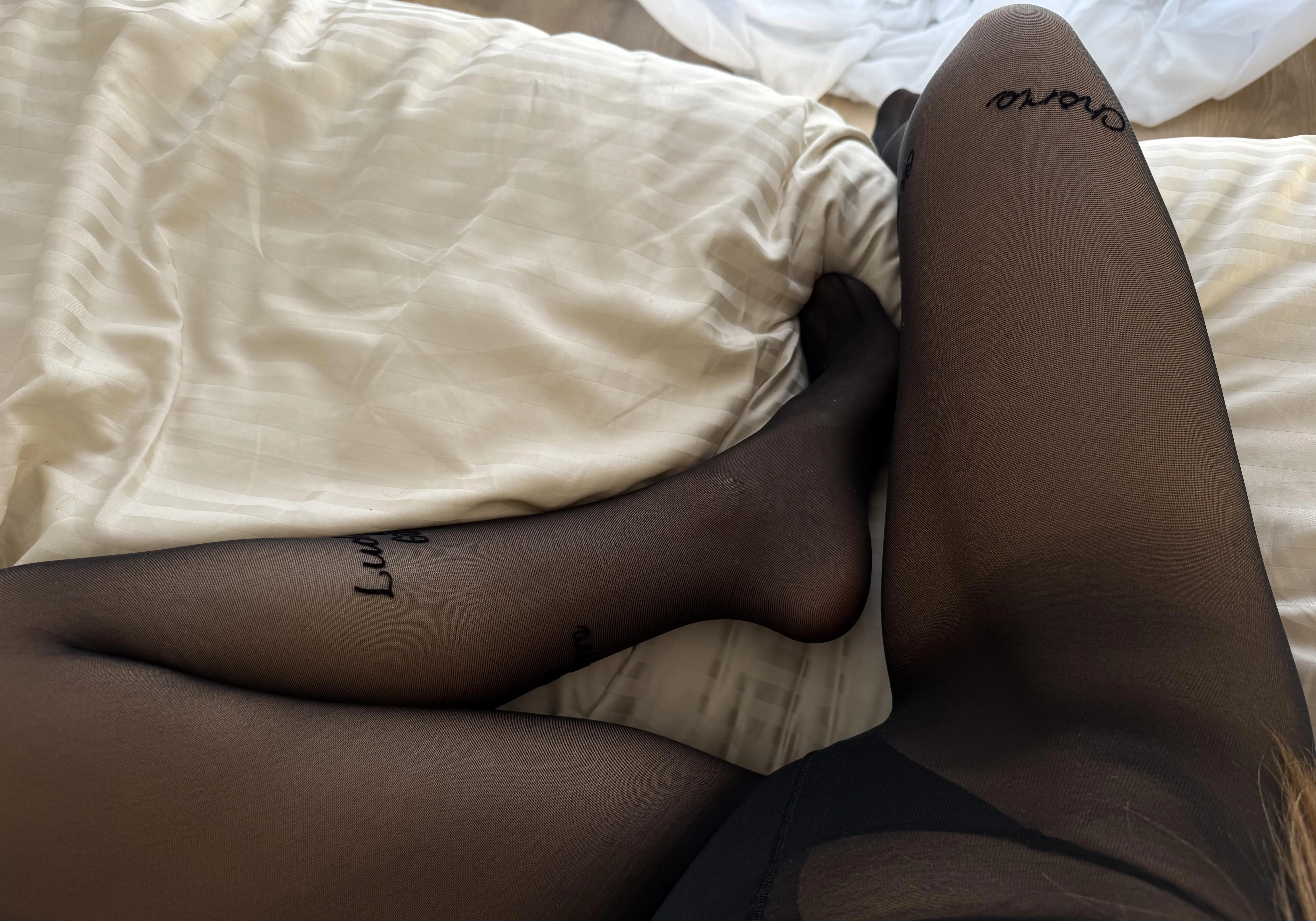 sexy legs kitty dreams