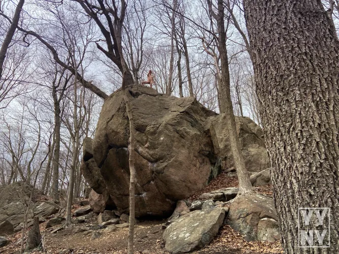 Somewhere Lost In The Woods