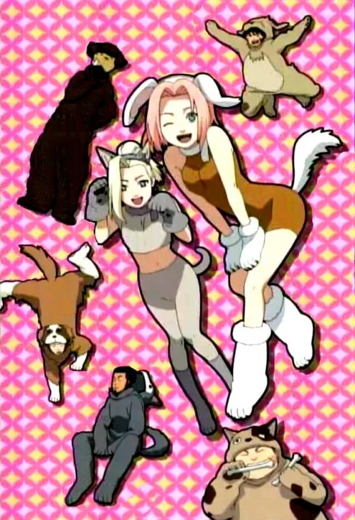 The dog or the cat,  choose