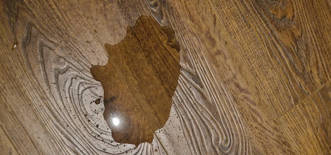 I've decided to ban the toilet ;)