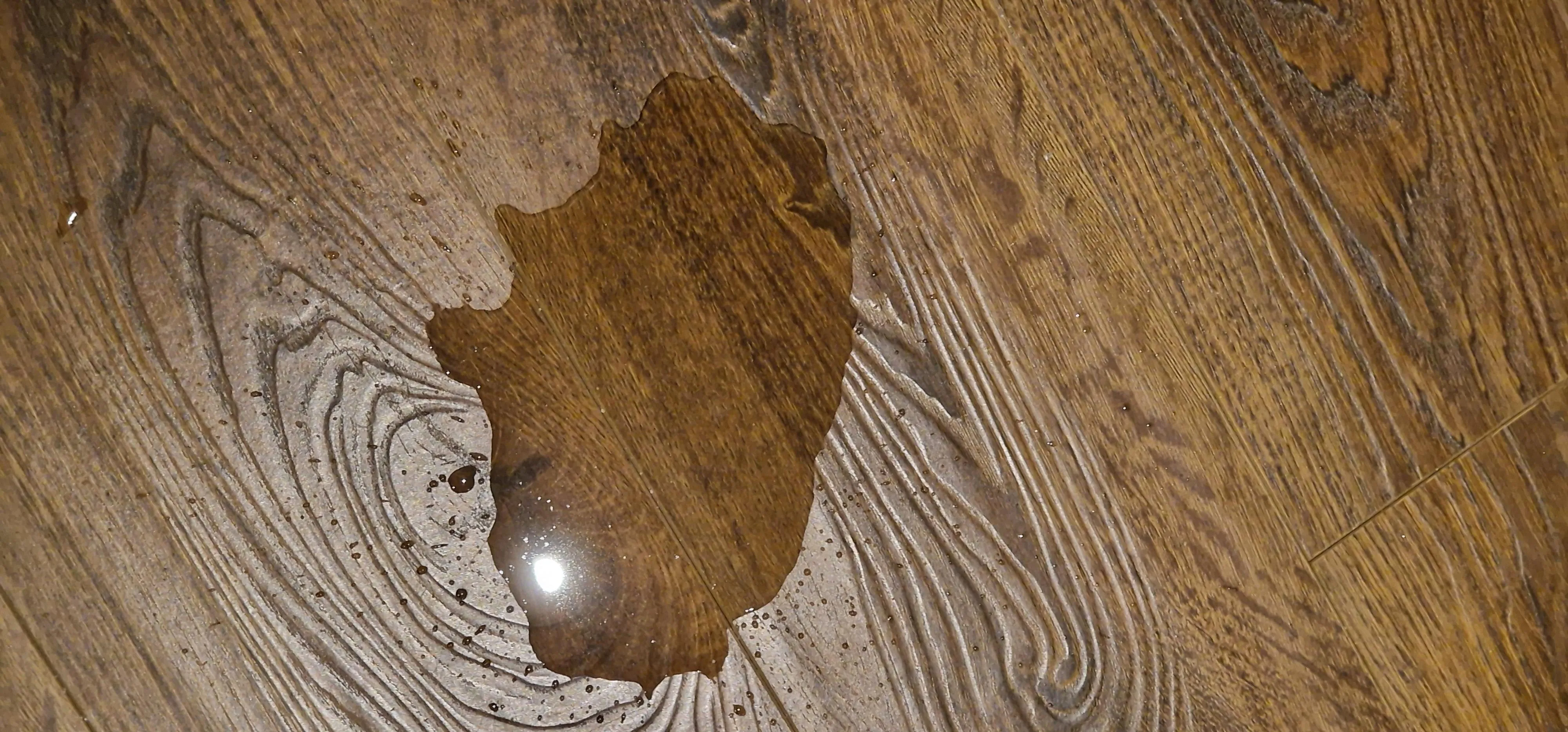 I've decided to ban the toilet ;)