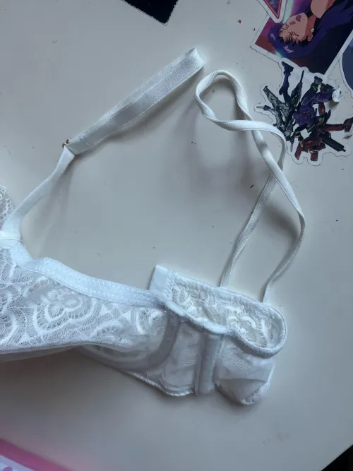 dies anybody know how this bra works?