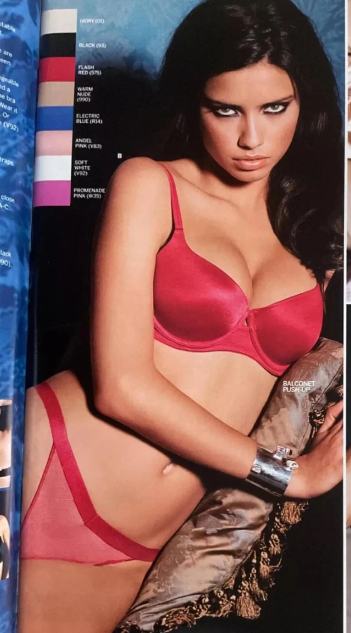 Does anyone remember this VS style bra name?