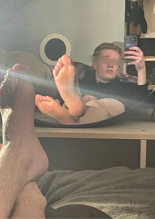 It’s tax season pigs, come here