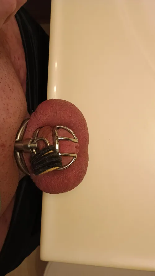 Starting a journey... Day 1