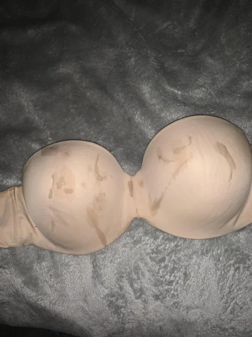 Came on gfs bra