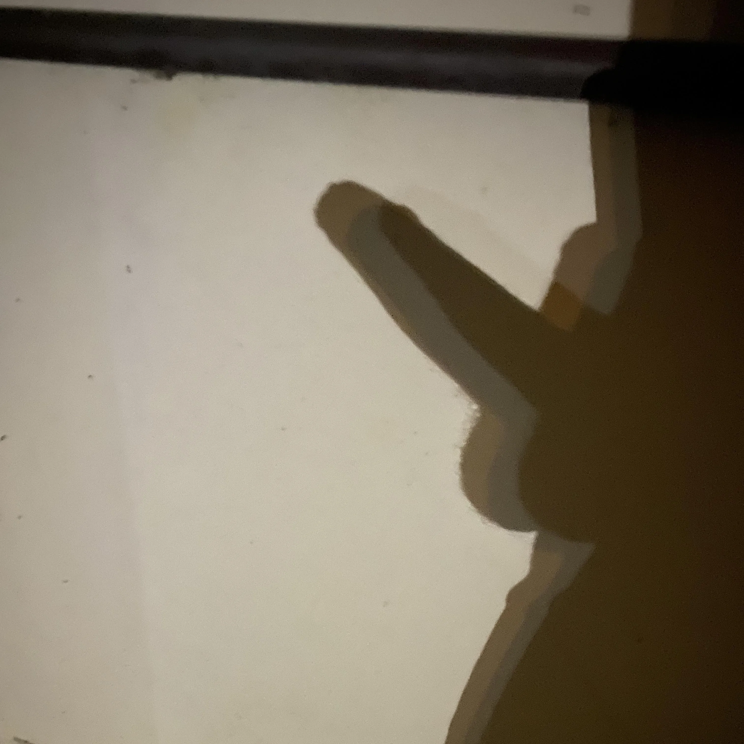 Enjoying a late night walk around the city (M)