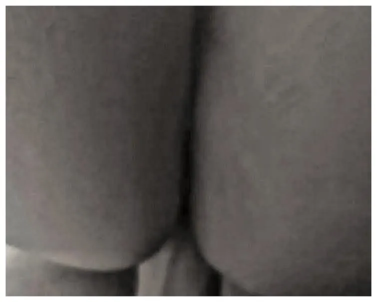 Evening pleasures in our sauna.