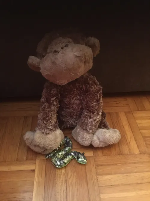 Hello I’m new here