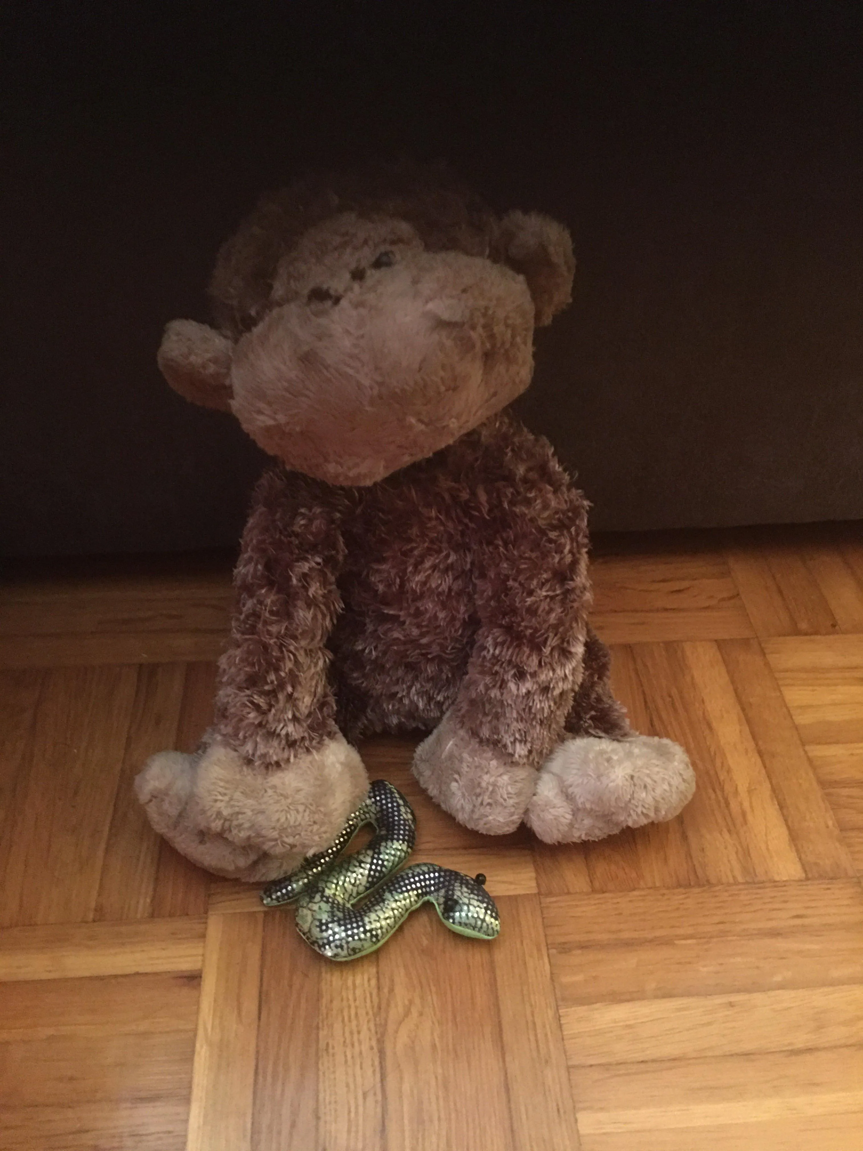 Hello I’m new here