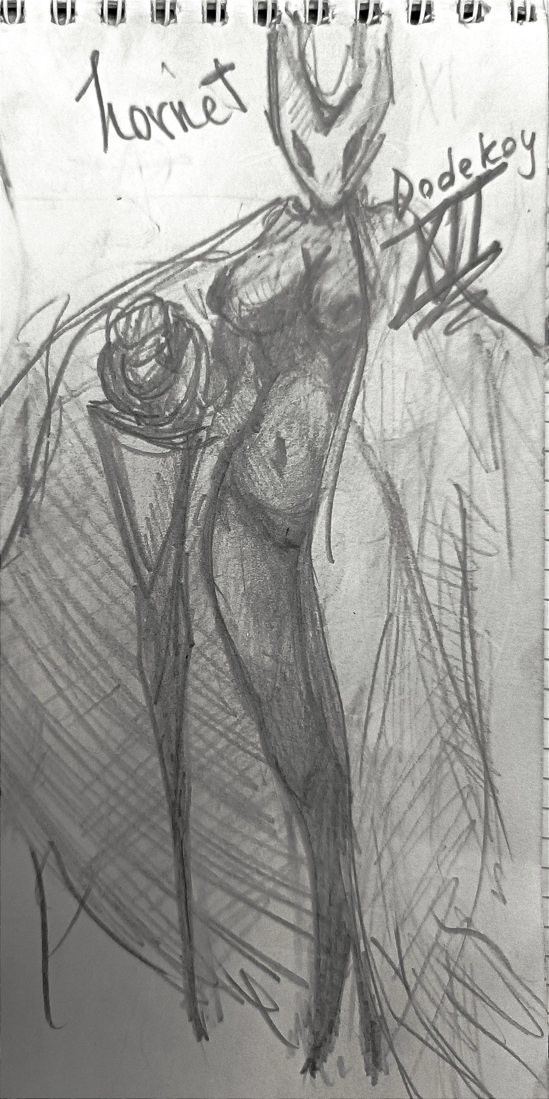 Hornet does not wear panties? (Dodekoy)