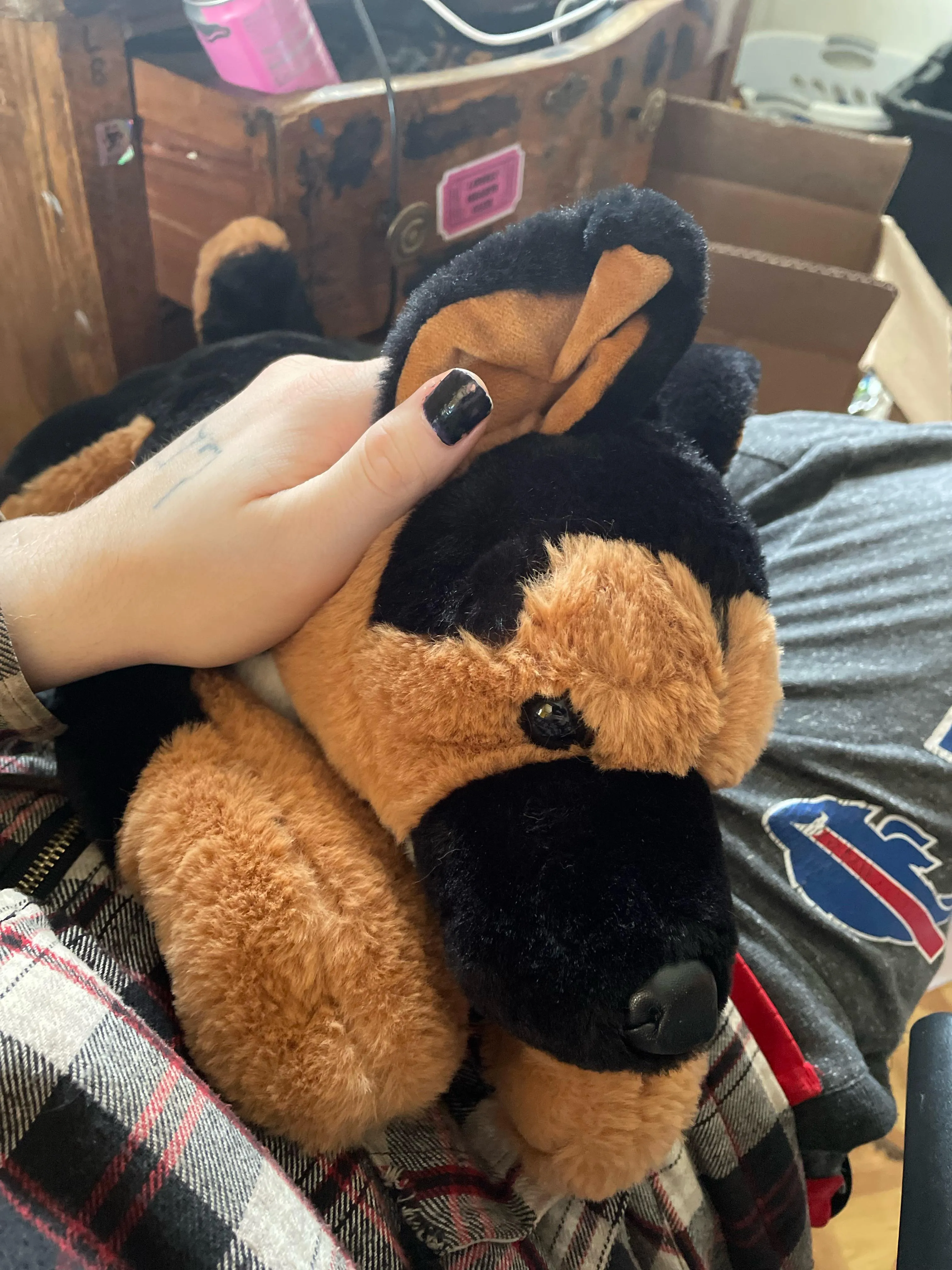 My Girl Lexi she’s So Beautiful 🥰🩷