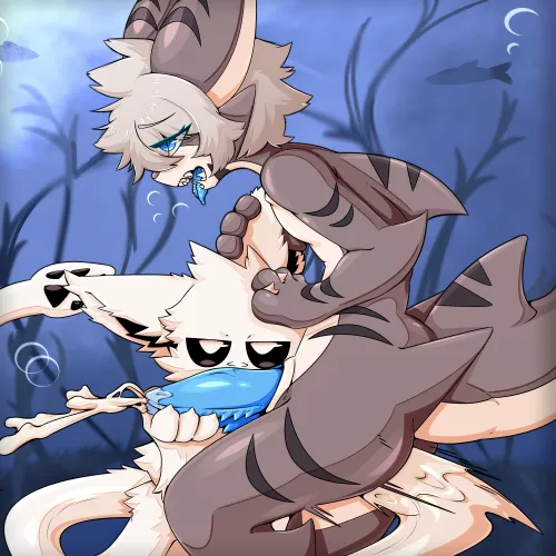 Tiger shark milking :3 (By me)