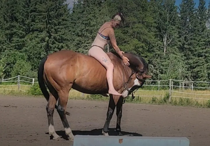 Wanna go for a ride?