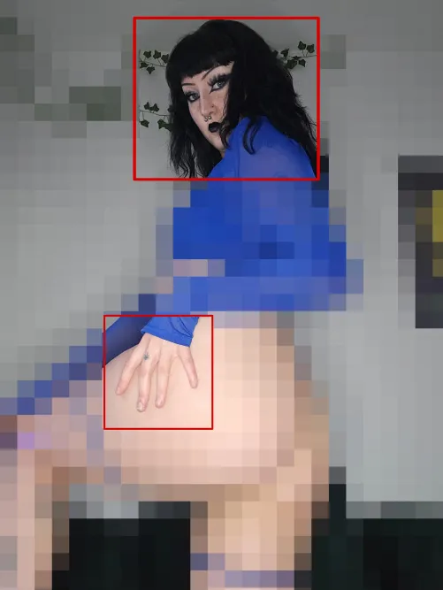 Do you rather stroke to pixels or the beta safe uncensored parts?