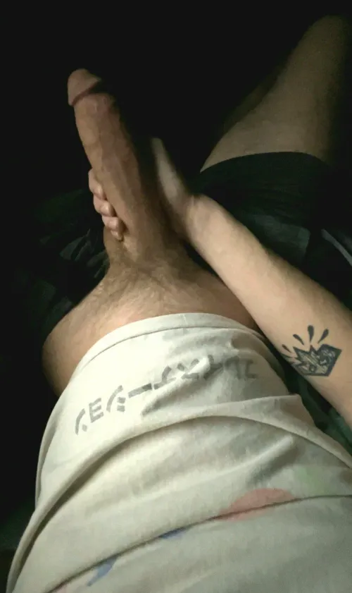 Do you think you can handle it? 11.4 inches 33M