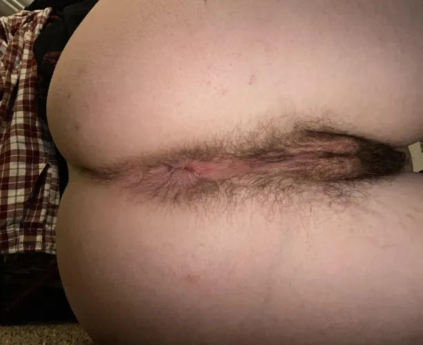 my skunky odors will entice you to never want to leave..