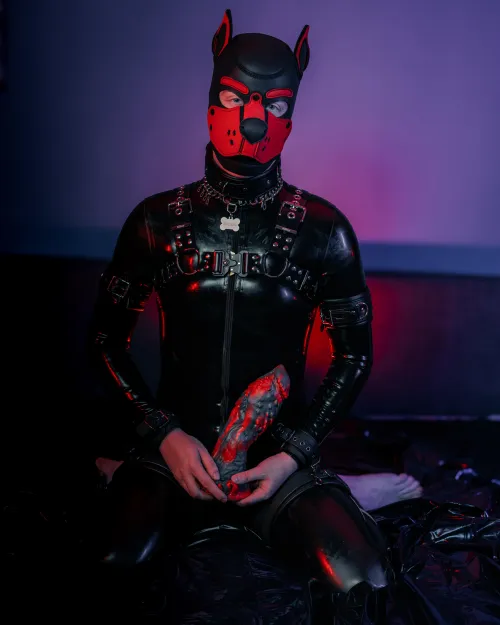 Showing off new dragon toys