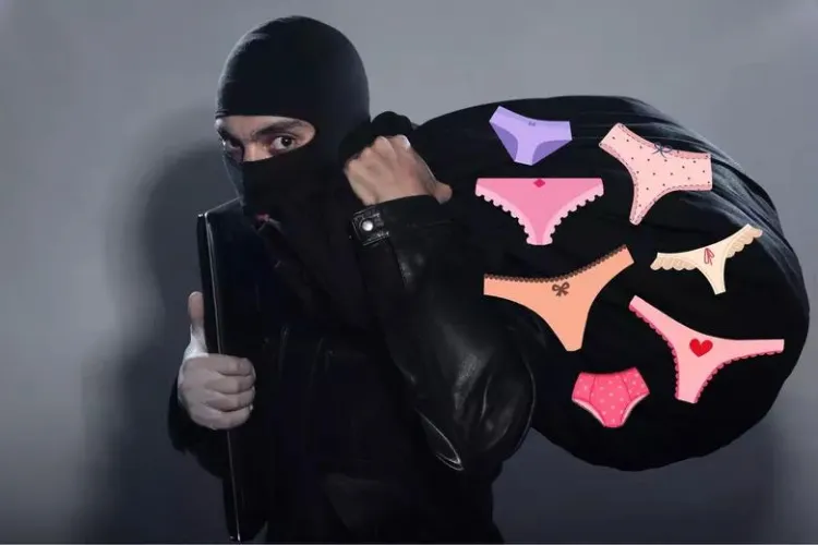 The panty thief in the Palace will be captured and punished!