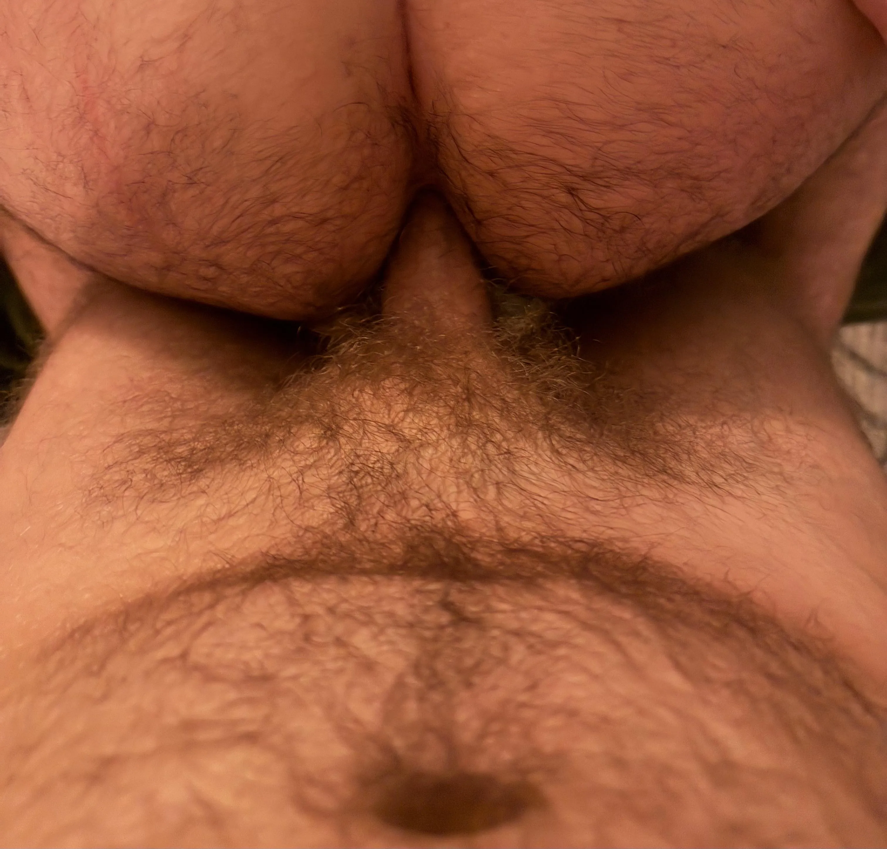 When an otter fucks his bear…