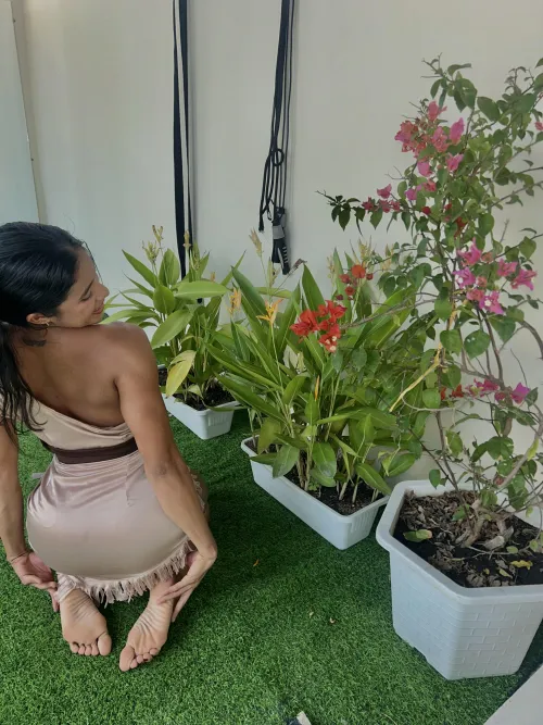 Do you agree that soles are better than toes