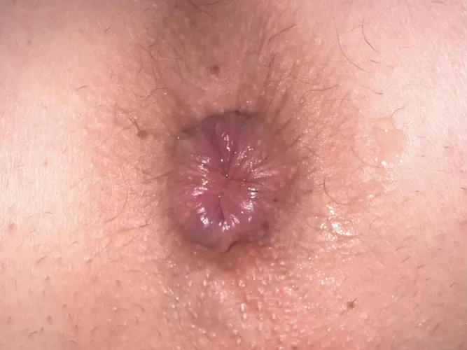 French kiss my butthole