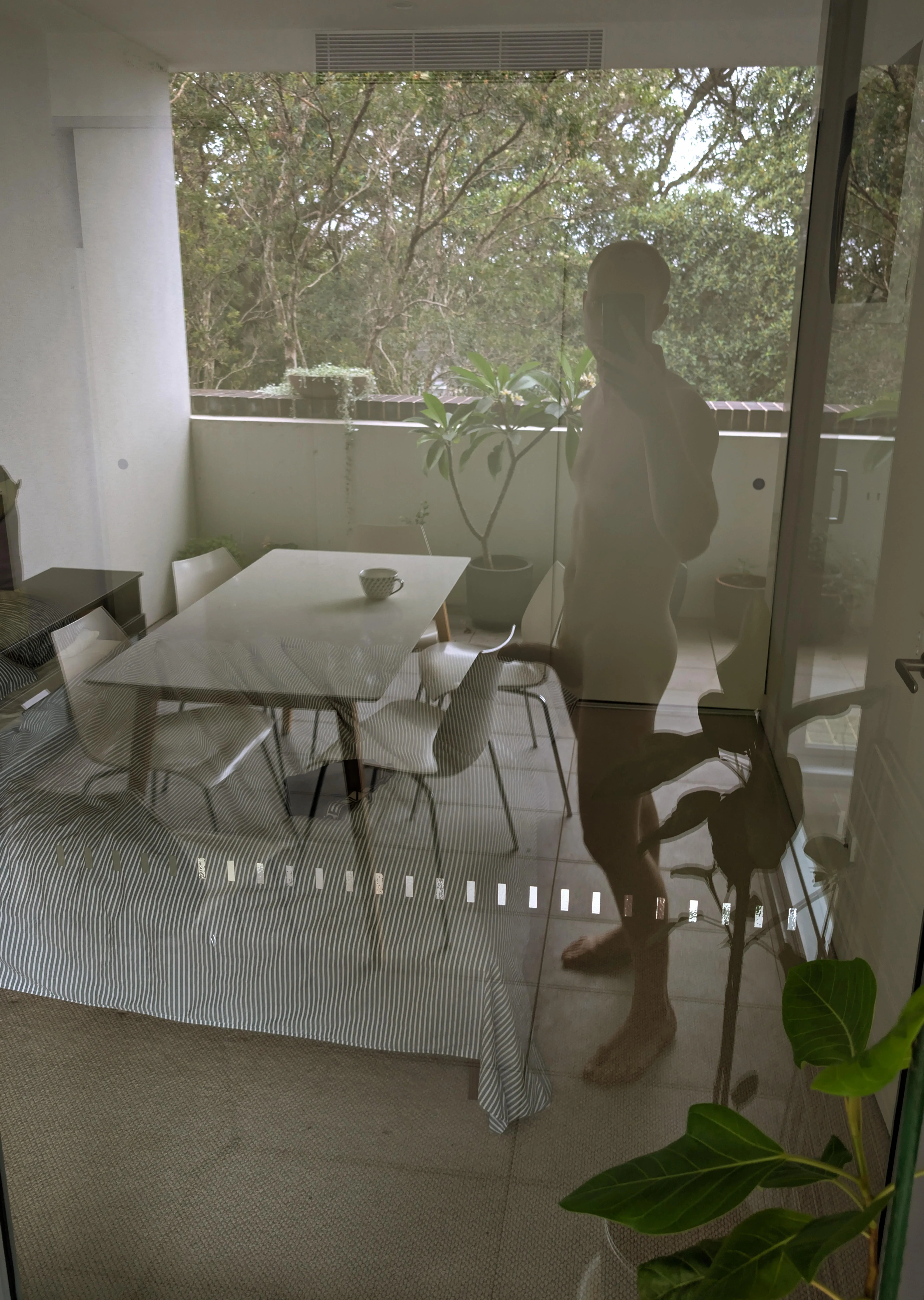 Shall we head inside?