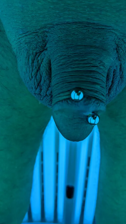 So mush warmer than the snow!