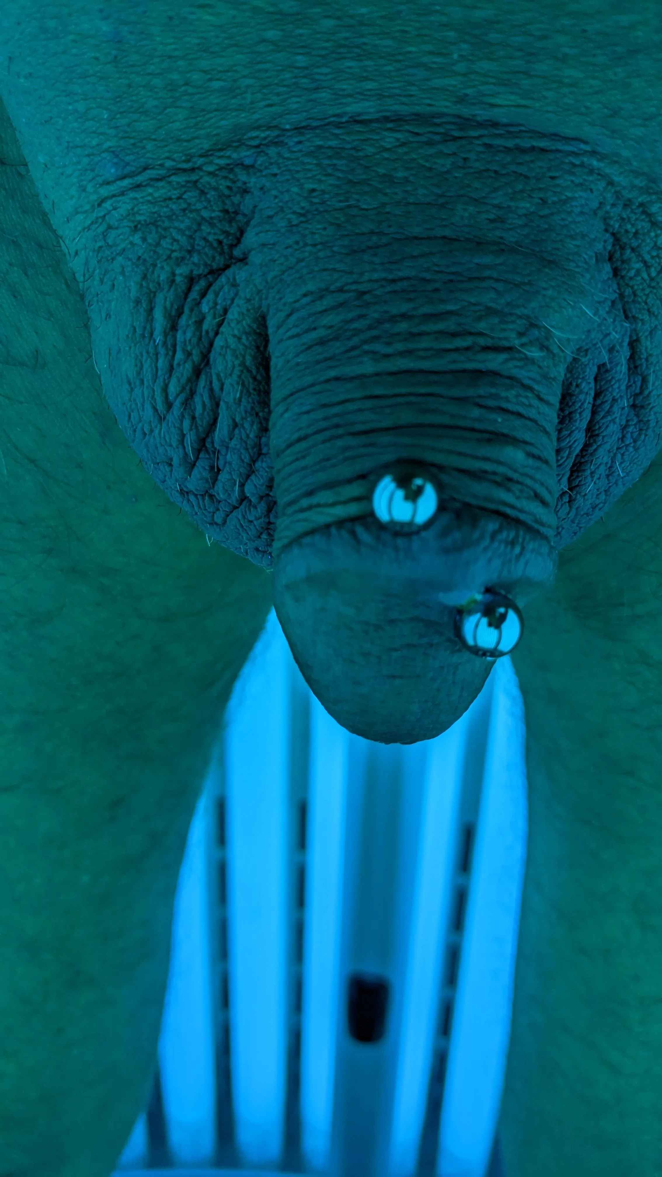 So mush warmer than the snow!