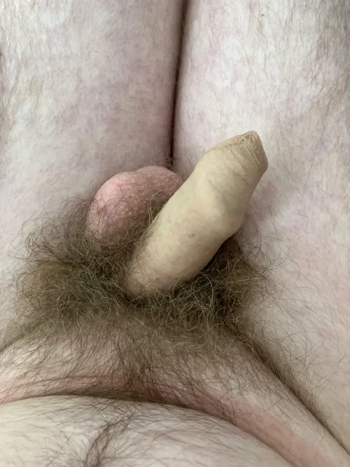 32 New Zealand uncut and untrimmed