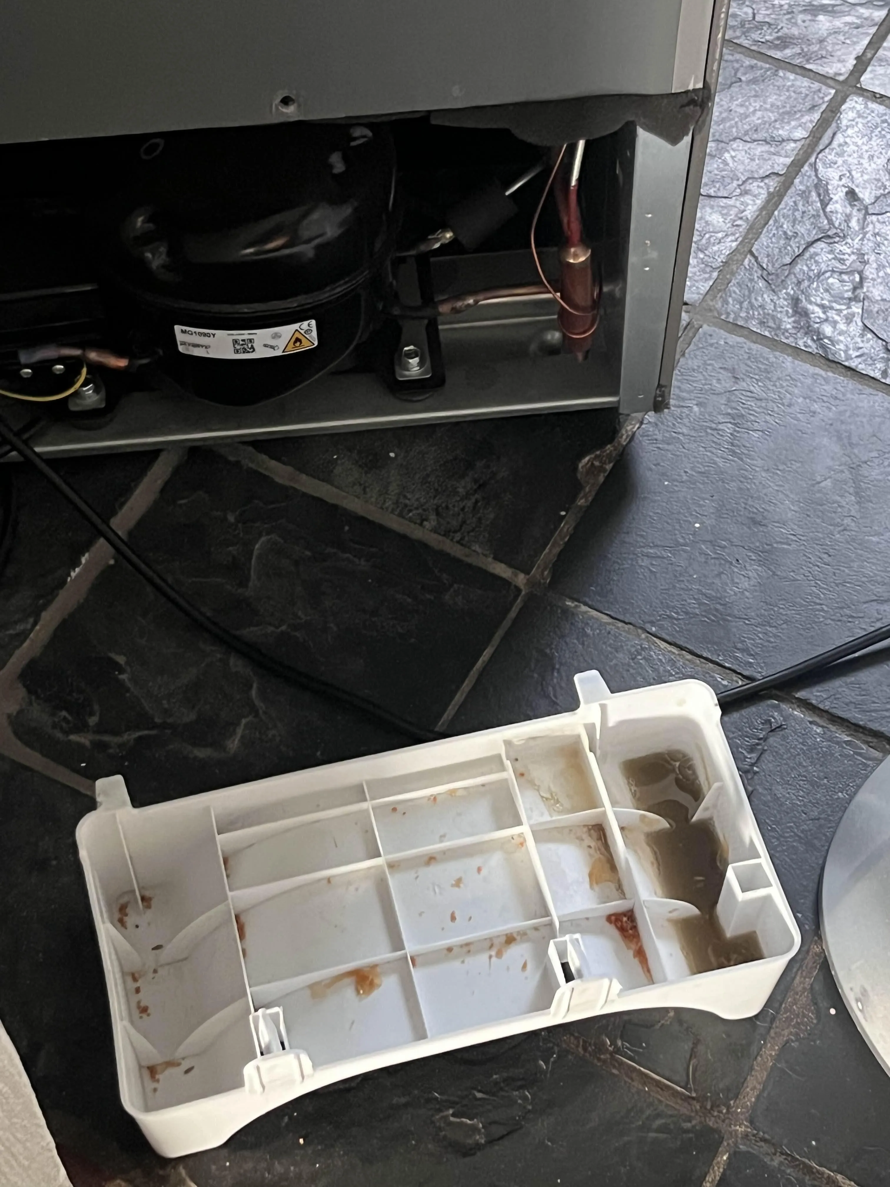 Power went out and food spoiled for a few days, meat fruits and other things all molding and dripping into this tray. To my horror this is a 