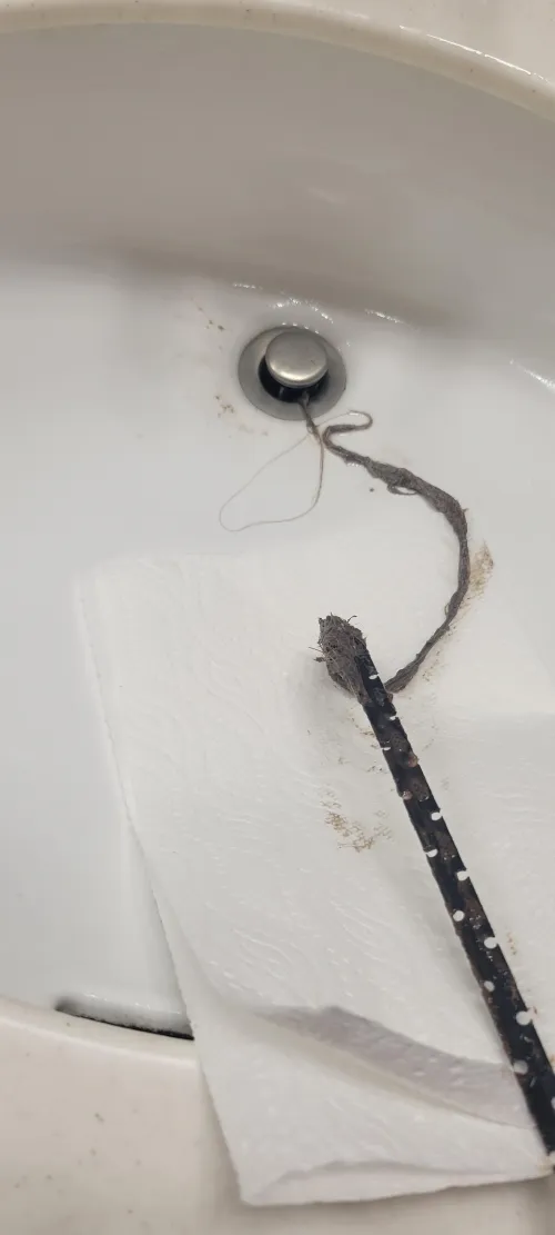 The hair we pulled out of the drain of our 