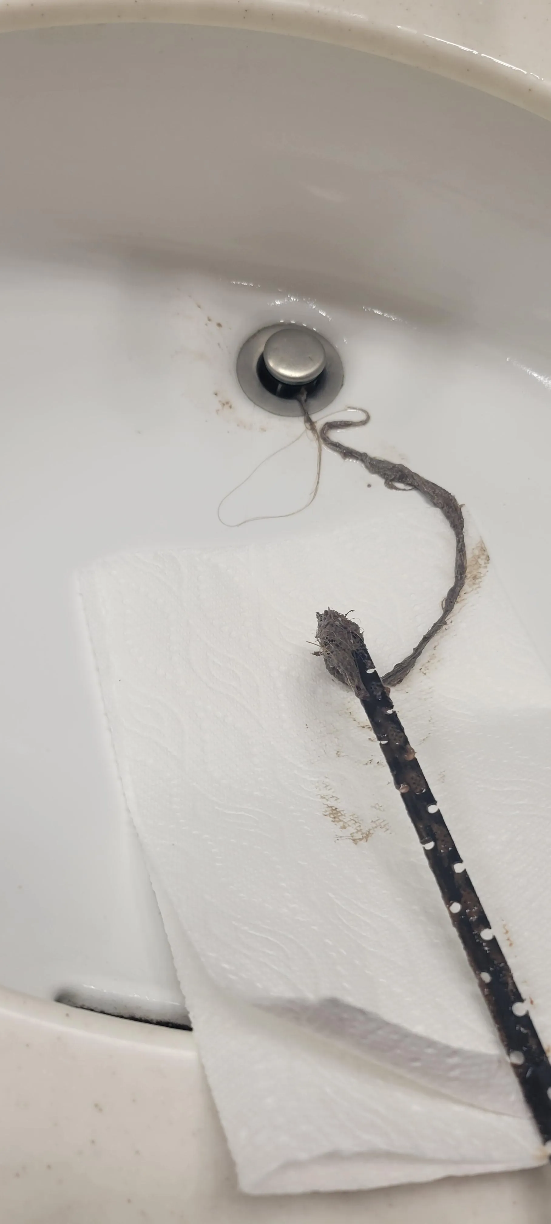 The hair we pulled out of the drain of our 