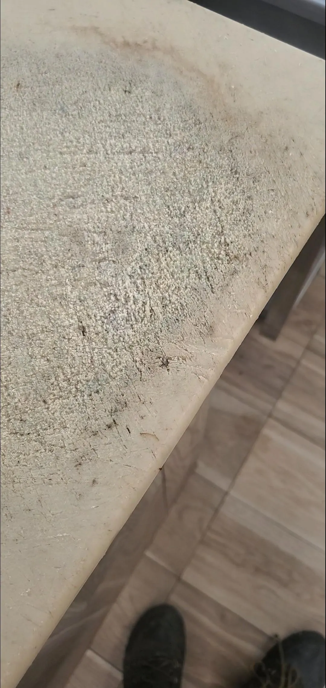 The state of a in use plastic cutting board at my workplace.