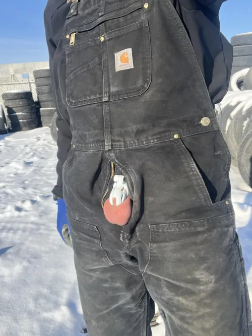 White cage is very suiting in Canadian winters ❄️