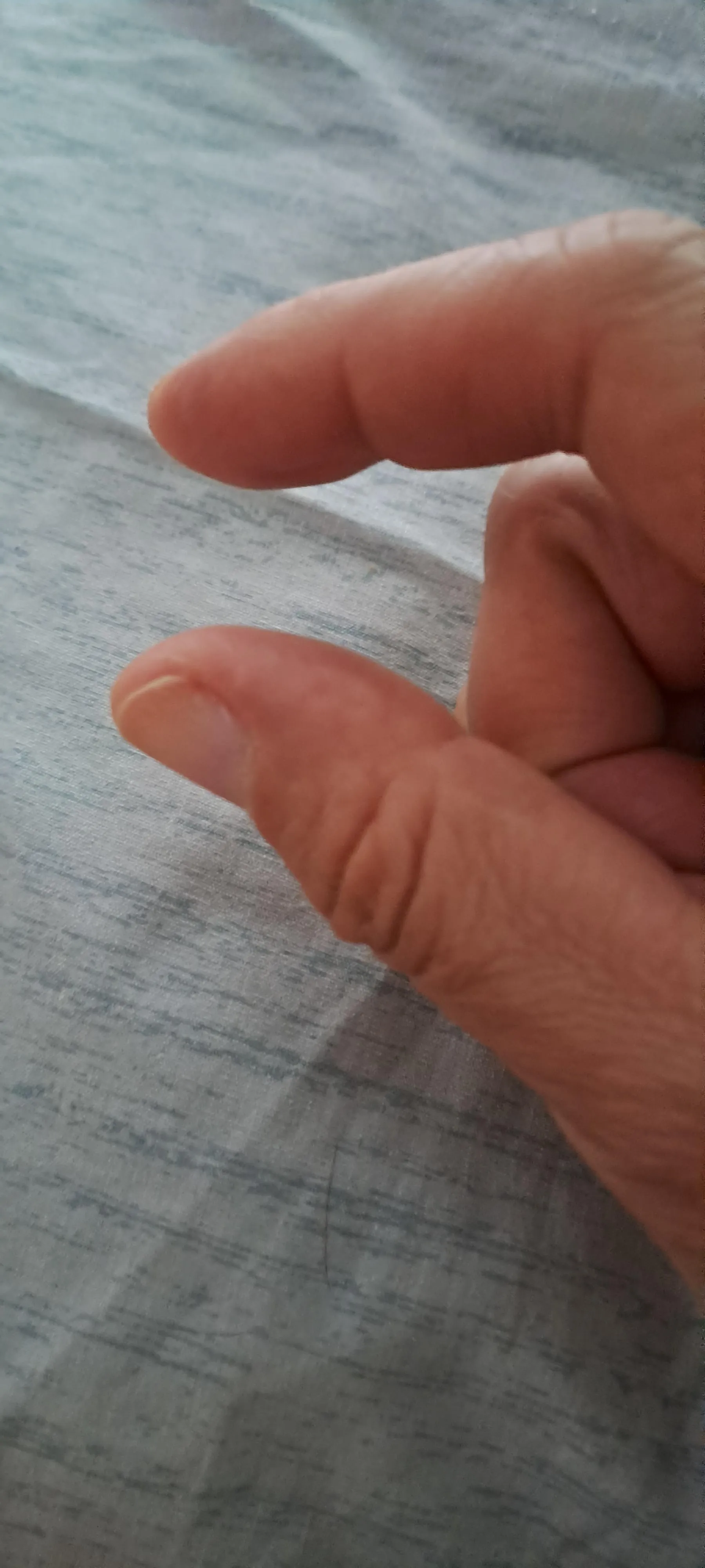 My finger is bigger than your shrimp