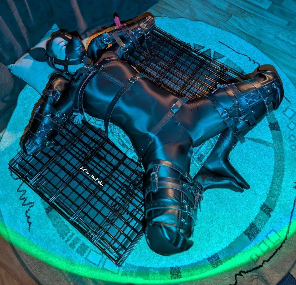 Restrained a shiny pet on the cage