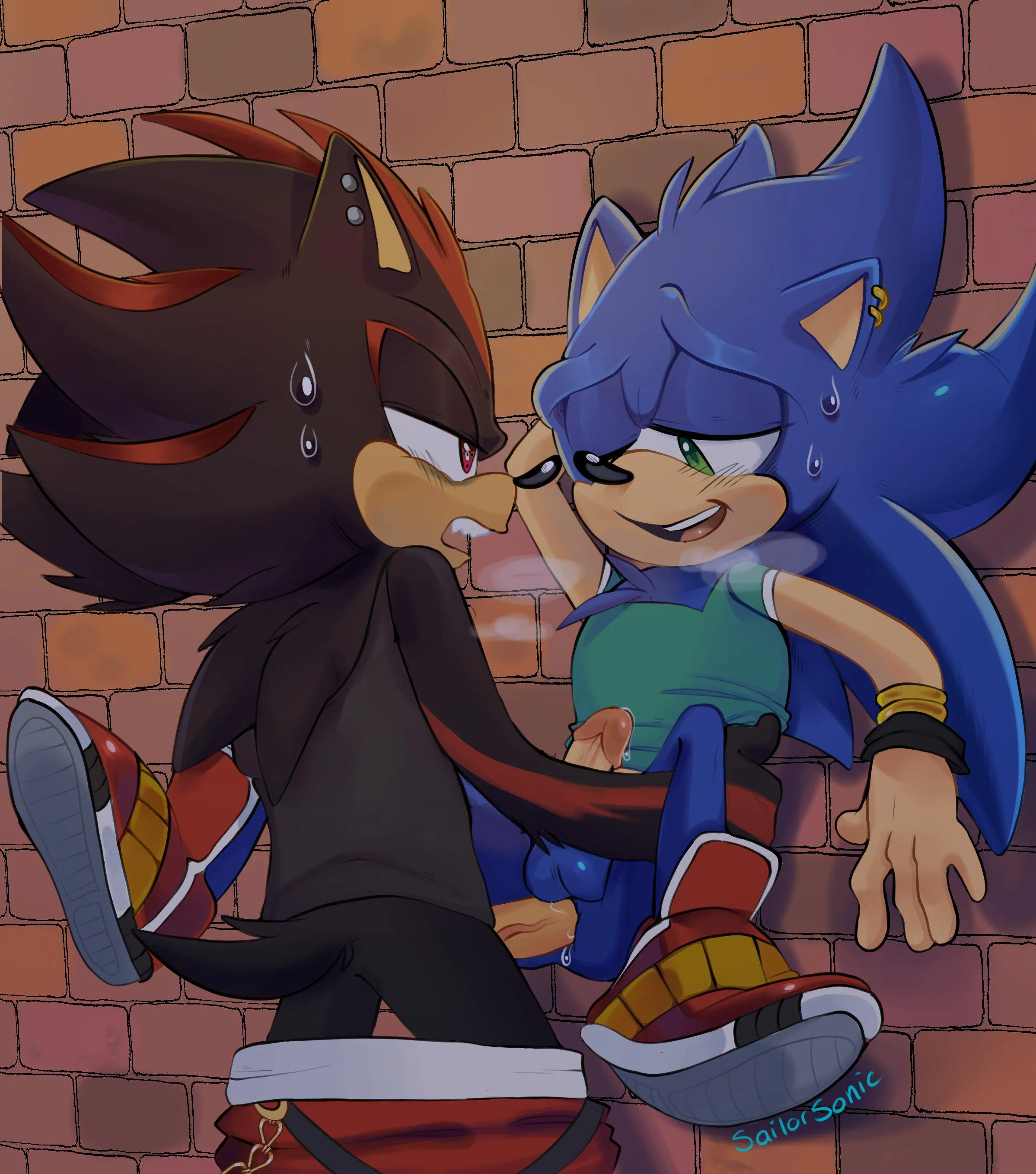 Sonic x Shadow Gay Porn [MM](Ssailorsonic)