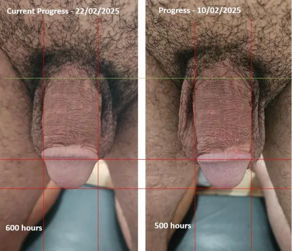 T-Tape tugging and T-Tape packing - 600 hours.