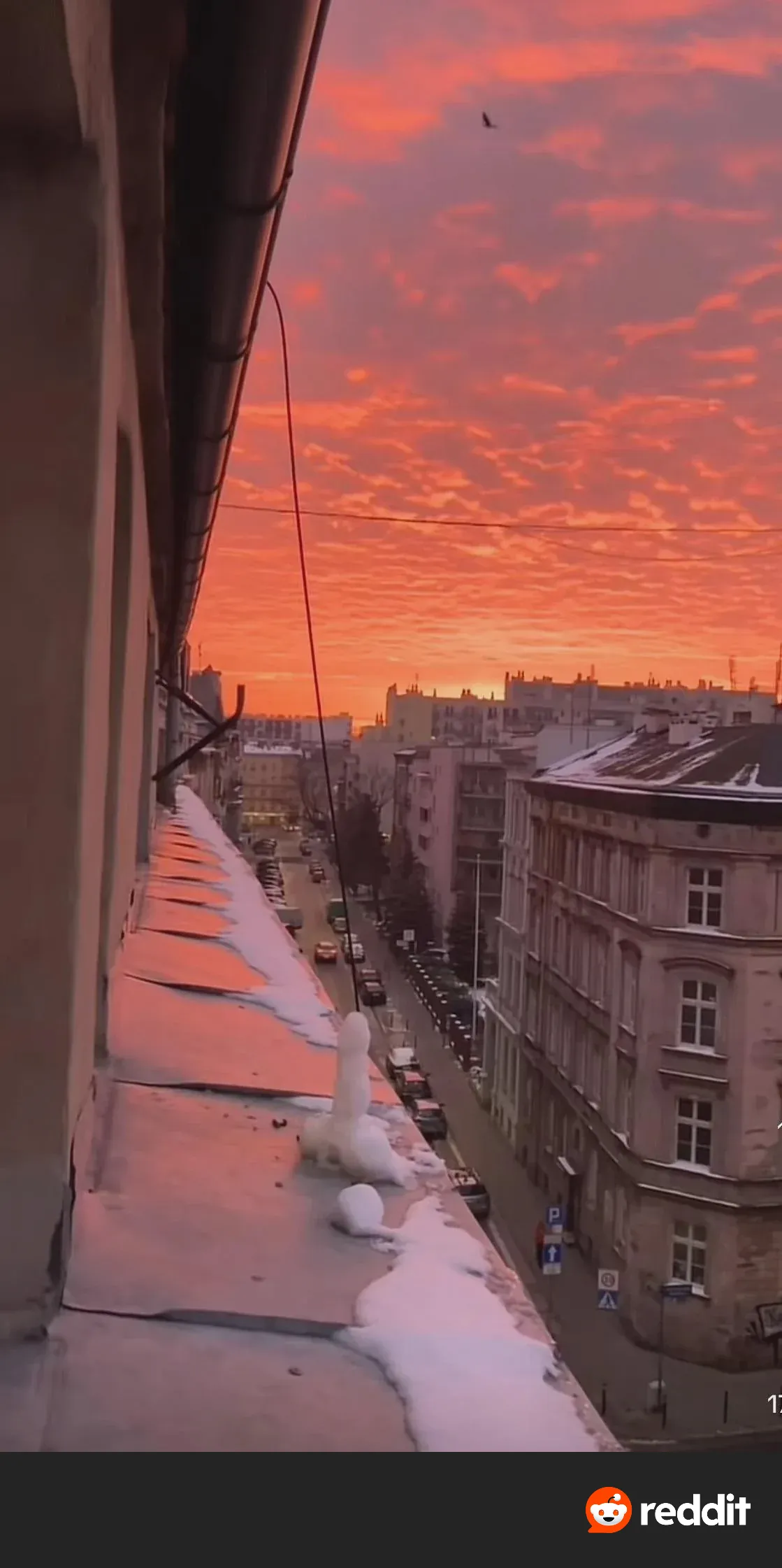 What a pretty picture