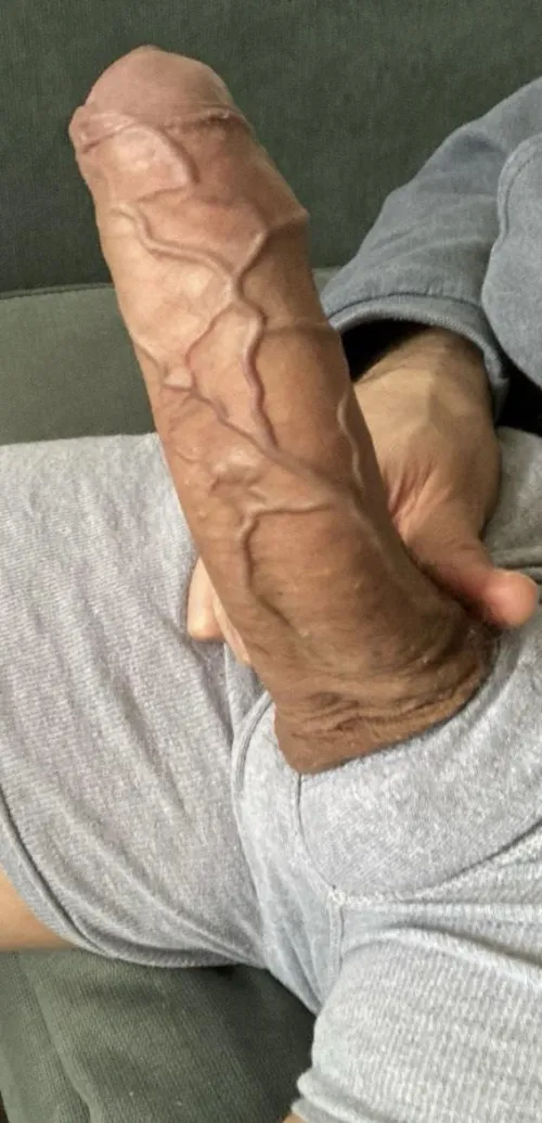 A very veiny Denver cock.