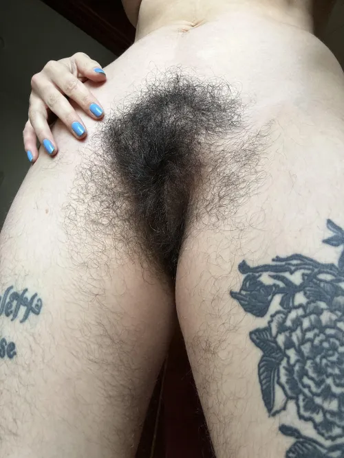 I heard you have a thing for big dark bushes.