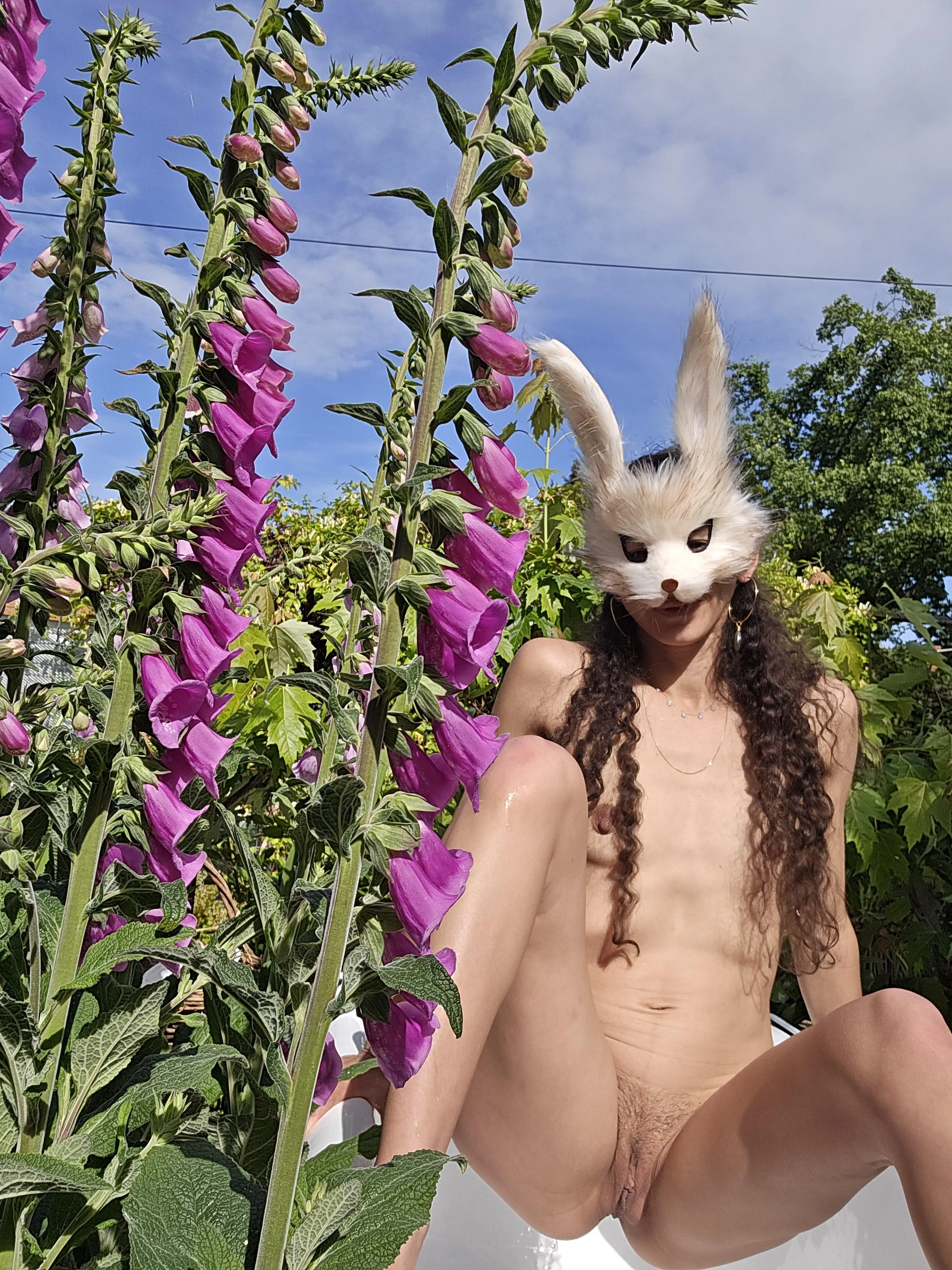 Just a bunny in her garden 🐇