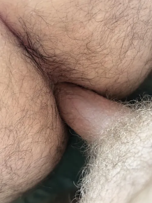 My cock gets swallowed up by his tight hairy hole 😈