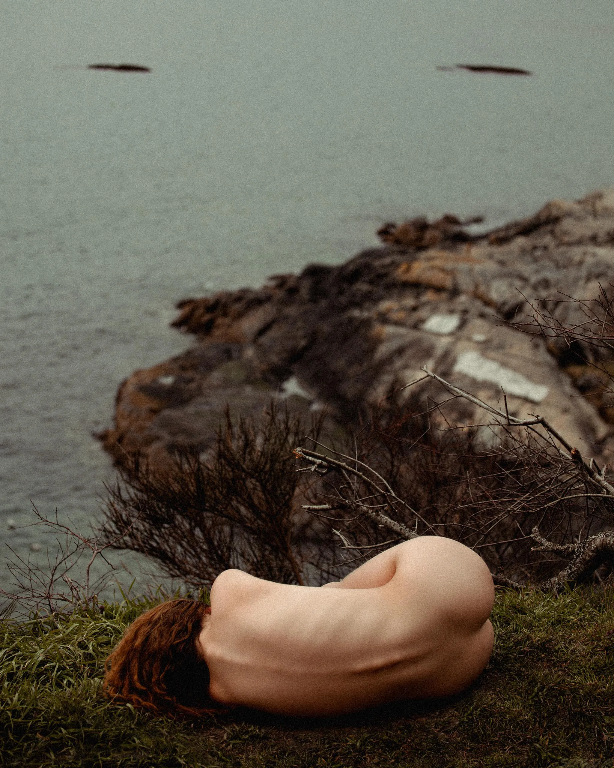 synergy with mother nature