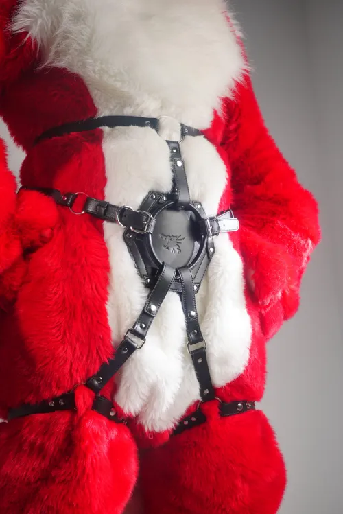 The new harness also fit our dragon boss.