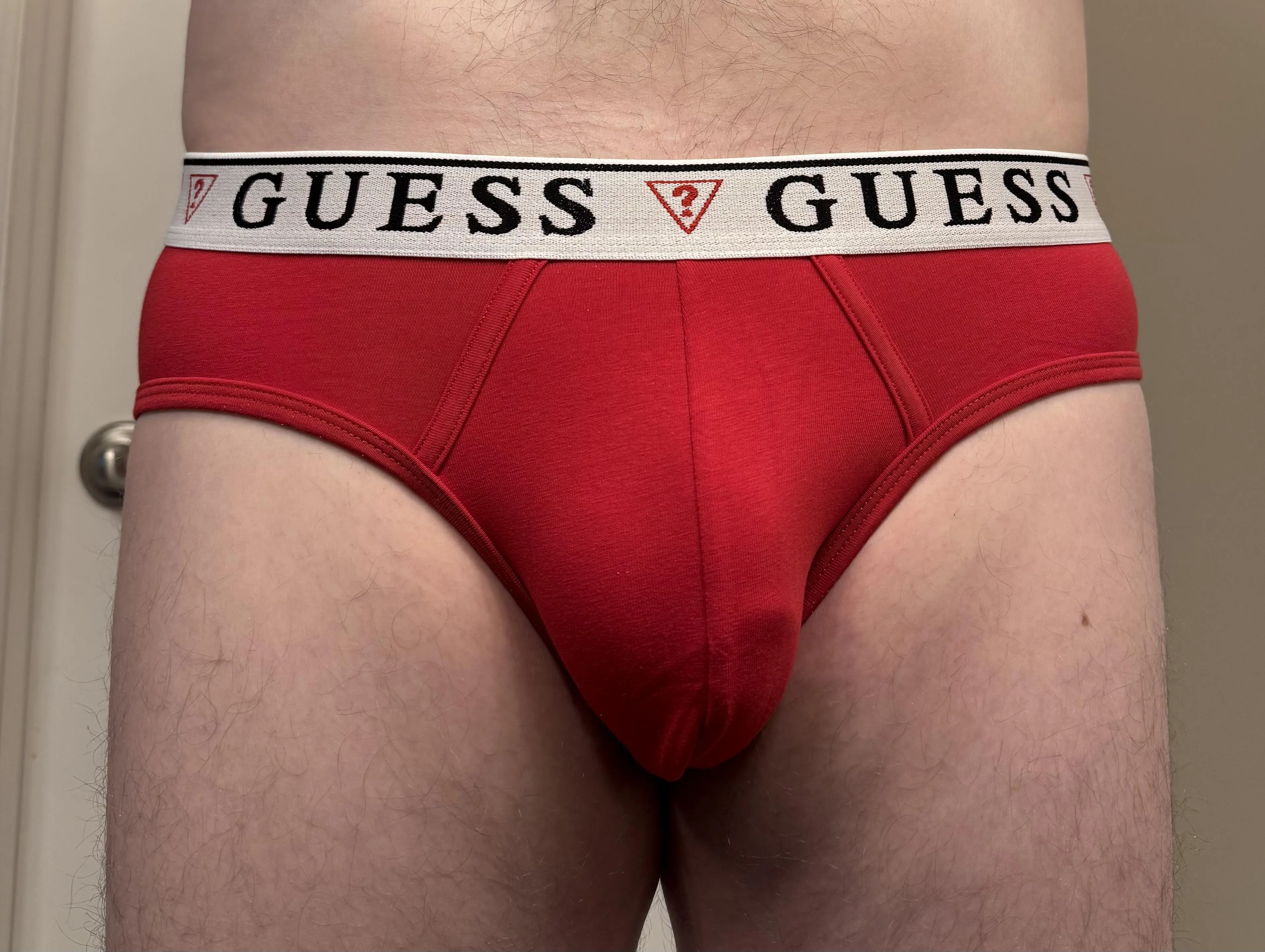 Guess Red Briefs