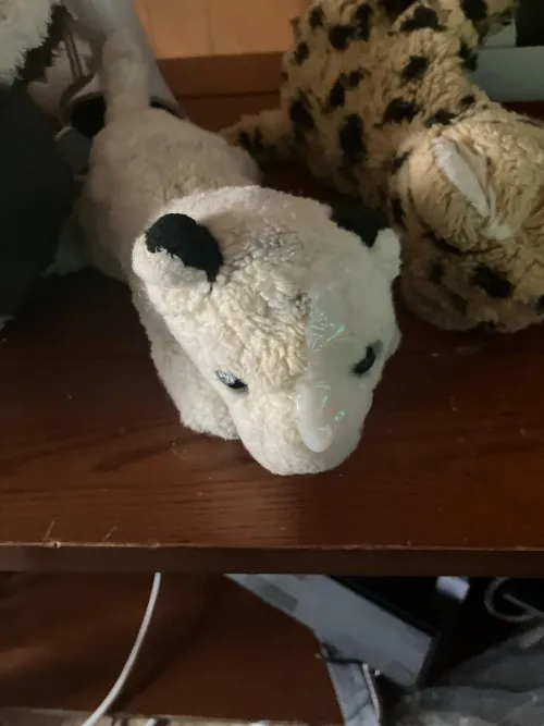 I had fun with my snow tiger